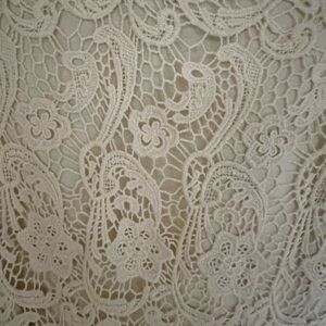 Joie Delicate Lace Overlay Dress in Cream